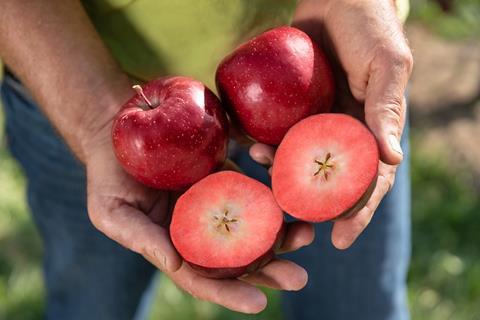Apple Kissable Red(2 pound bag)