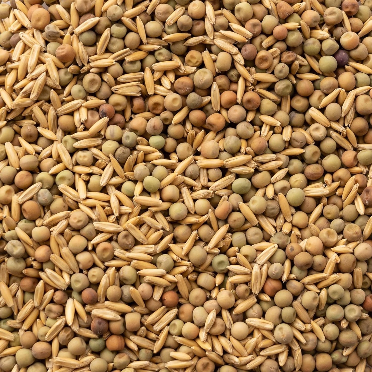Oat and Peas (25kg/bag)