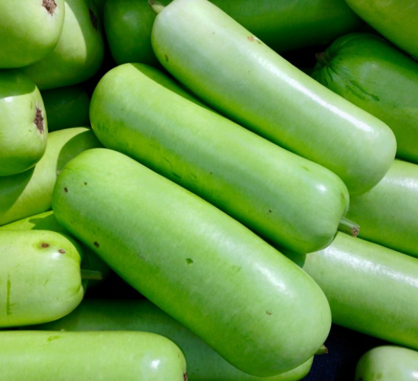 Opo Long Squash (per pound)