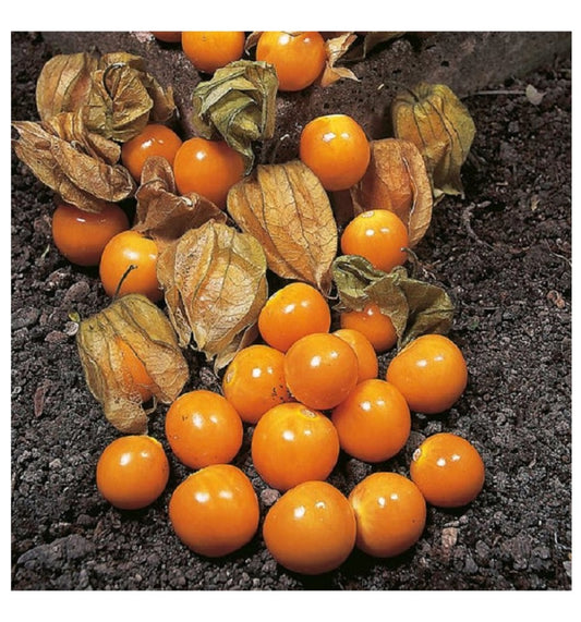 Gooseberries