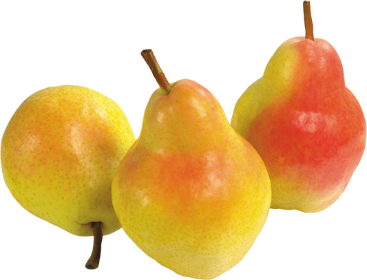 Pears Bartlett