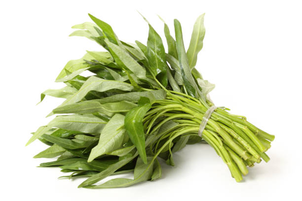 Water Spinach (Per Pack)