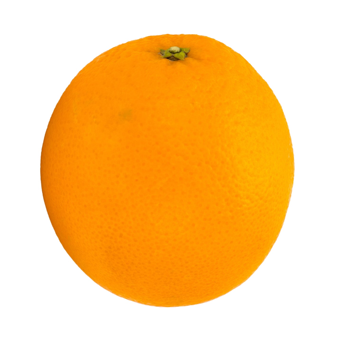 Orange  (Large)