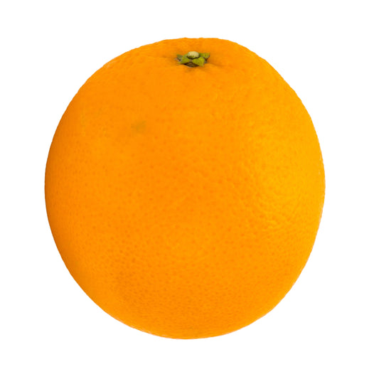 Orange  (Large)