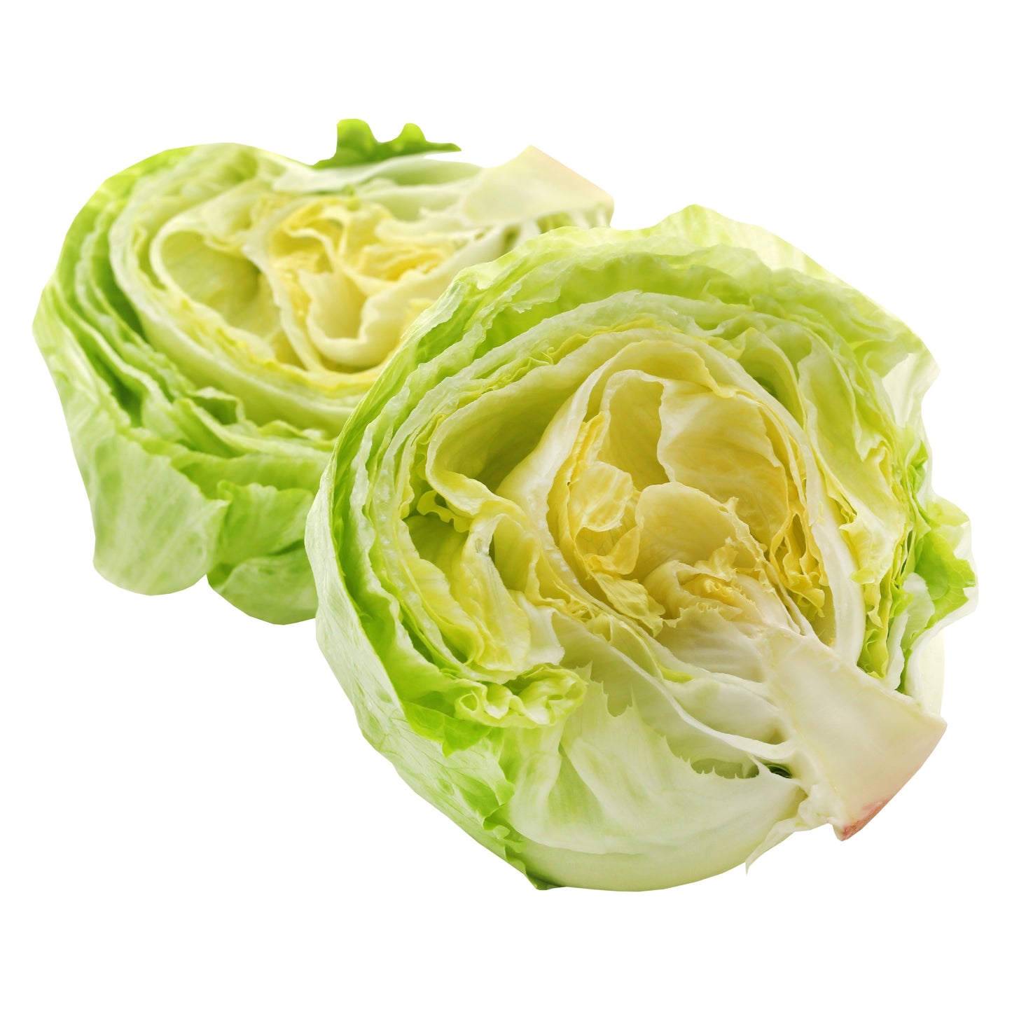 Lettuce (Iceberg)