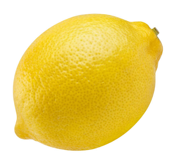 Lemon – Spruce Meadow Farms