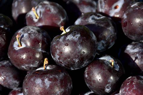 Plums  (per pound)