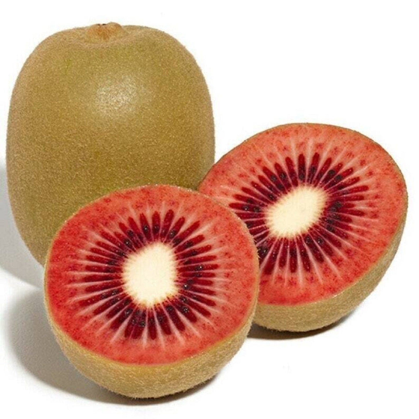 Kiwi Red (1 pound/pack