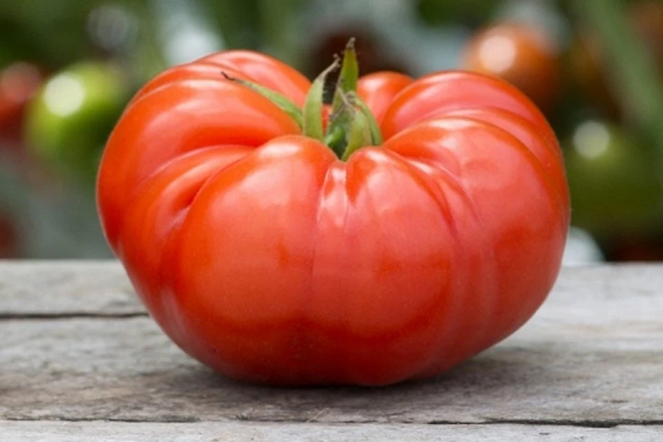 Tomato BeefSteak (per pc)