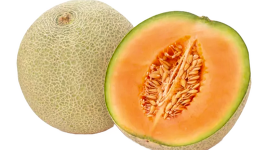 Cantaloupe(regular size)