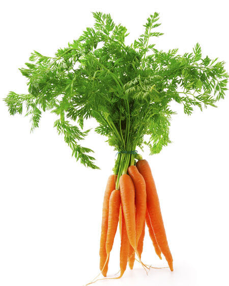 Carrot Bunch