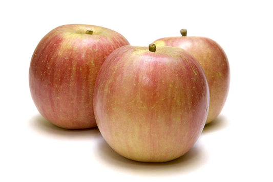 Apple Fuji (large)