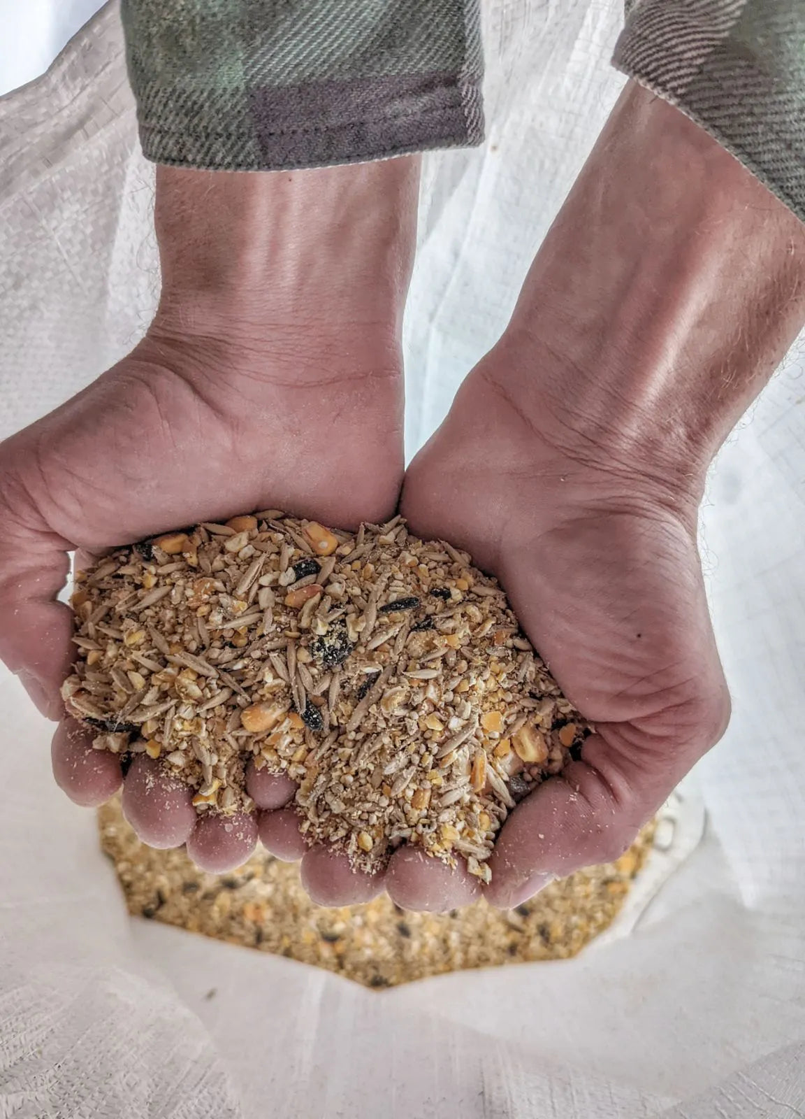 4-Grain Scratach Feed