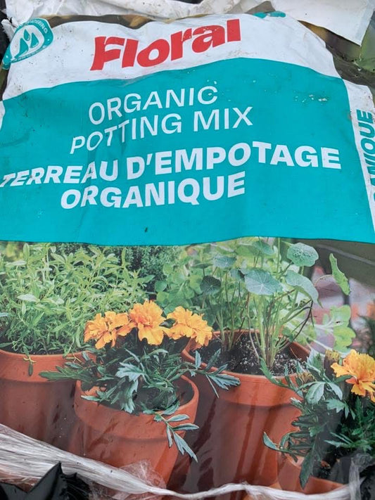 Organic Potting Soil