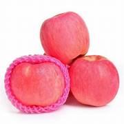 fuji apple(regular)