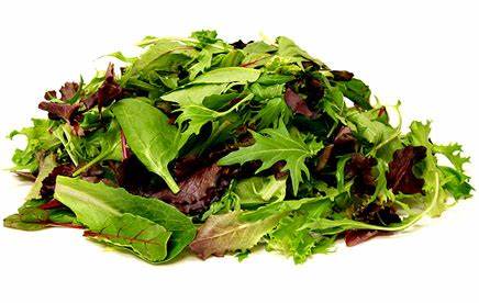 Spring Mix 5oz/clamshell