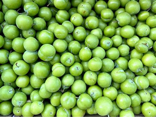 Plum Green(per pound)