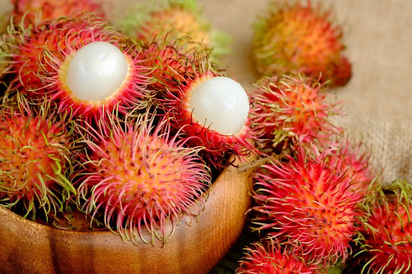Rambutan (1lb Bag)