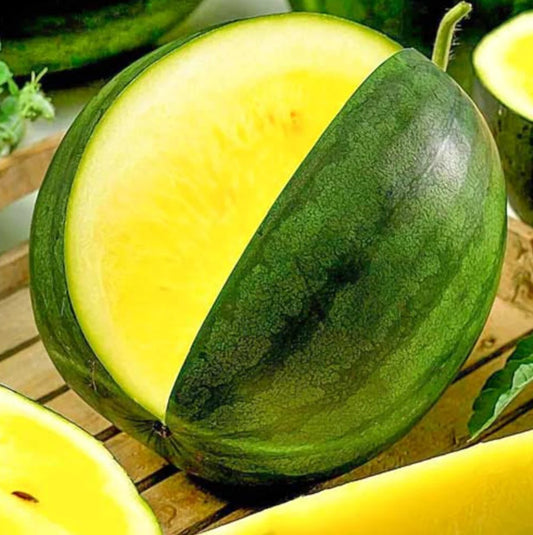 Watermelon Yellow