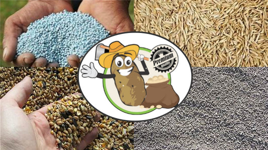 20-10-05 Fertilizer