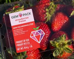 Strawberries Gempack