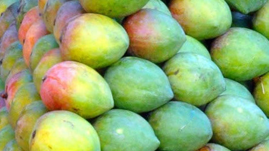 Mango (Green)(per pc)