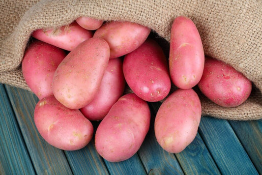 Potatoes (Red) (10lb Bag)