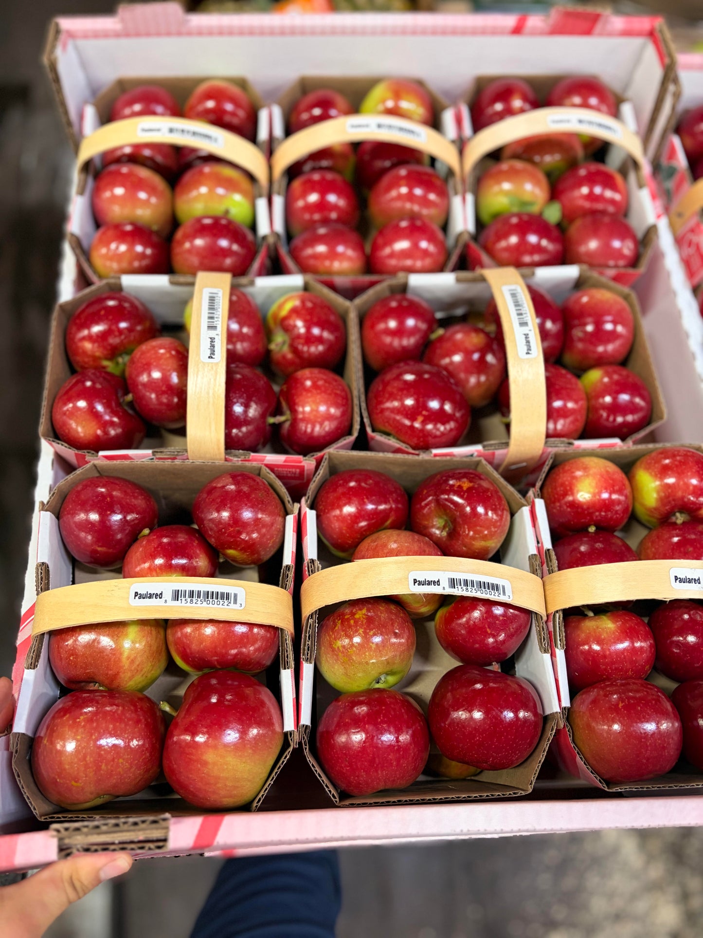 Apple Local-Paula Red/per basket
