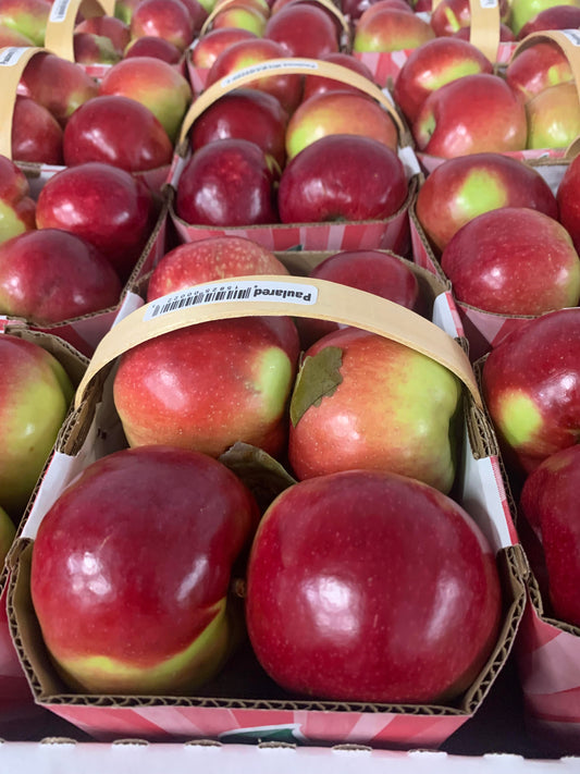 Apple McIntosh 3Lt.