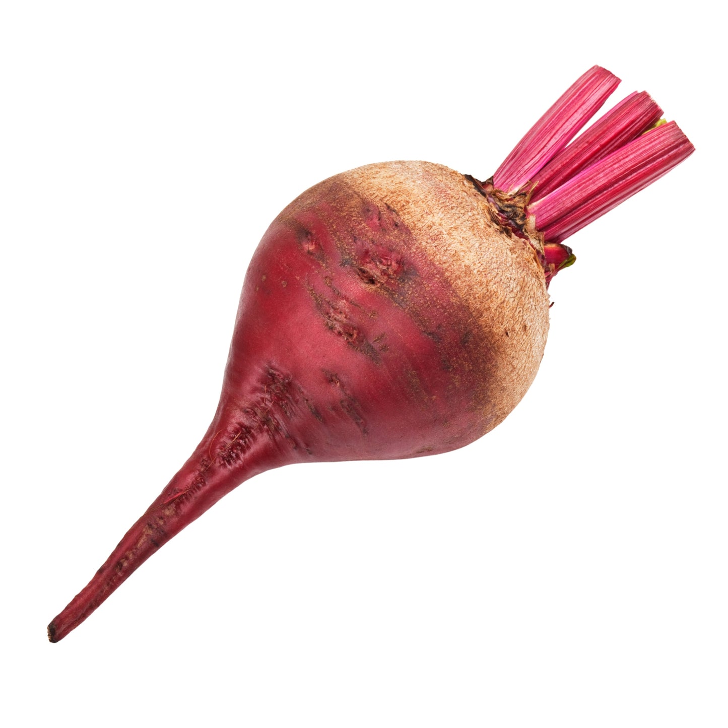 Beets Red(5lbs/bag)
