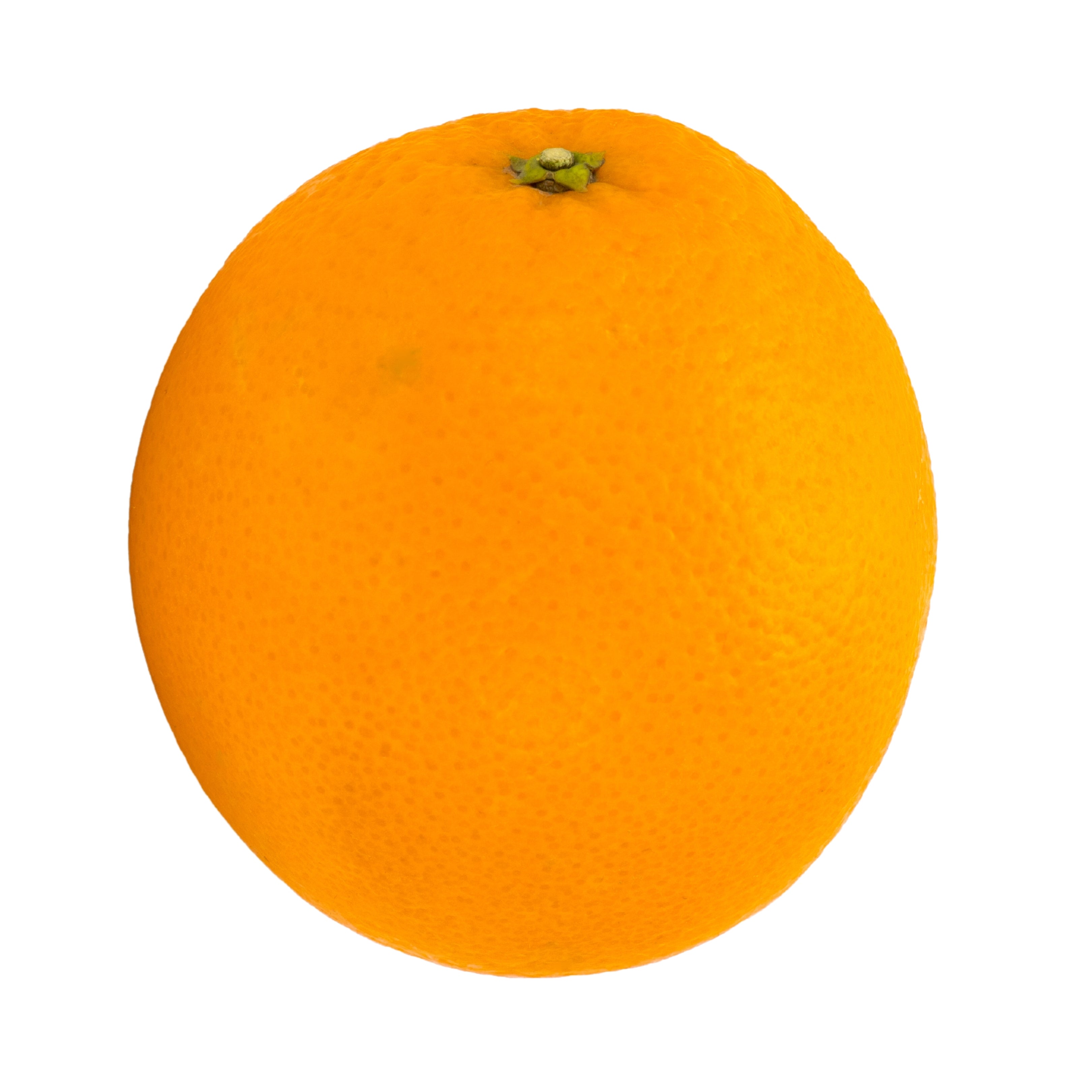 Normal Sized Orange Shop Large Oranges – Spruce Meadow Farms