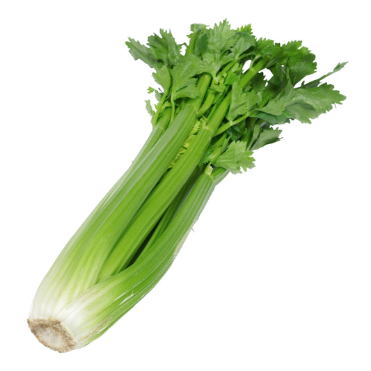 Celery (Bunch)
