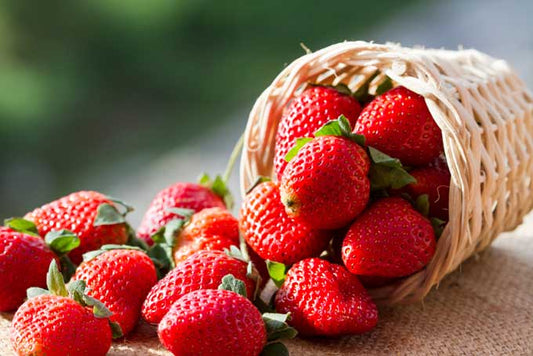Strawberries (Quebec)