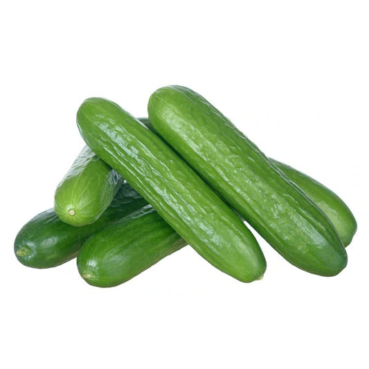 Cucumber (Mini) (6 Per Pack)