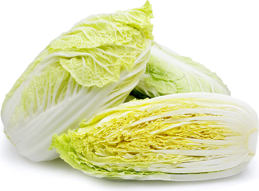 Cabbage (Napa)