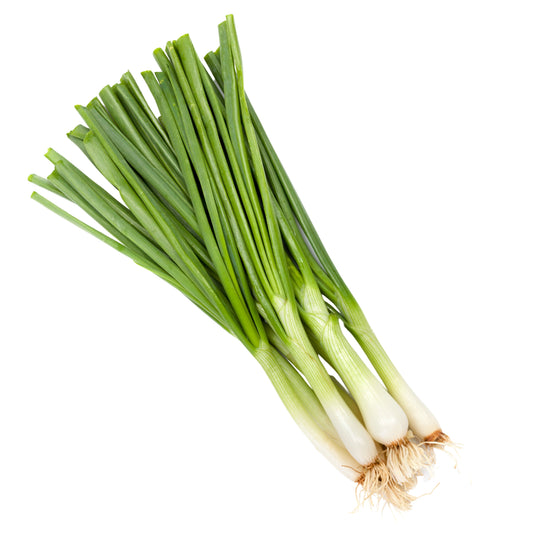 Onion (Green)