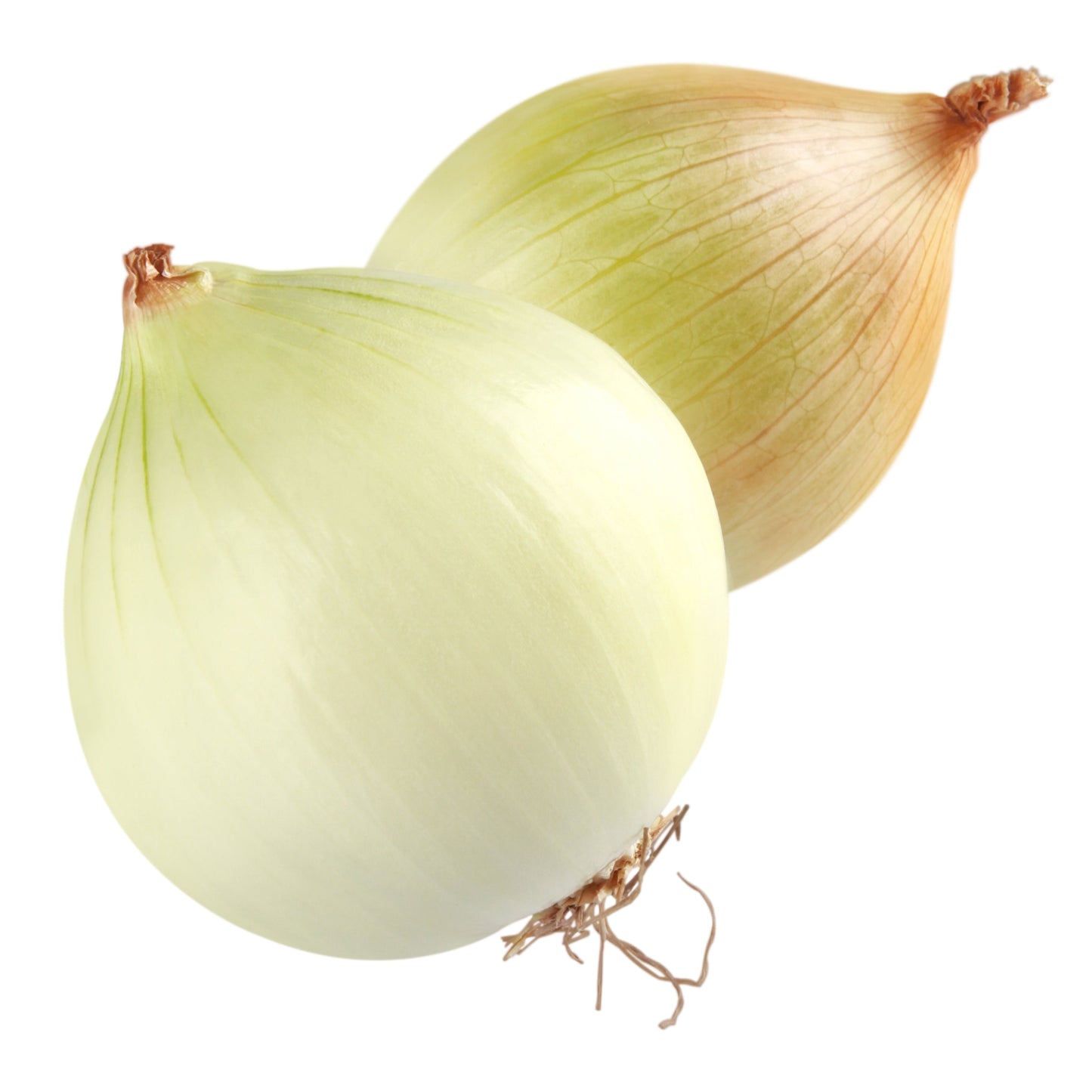 Onion White (per pound)