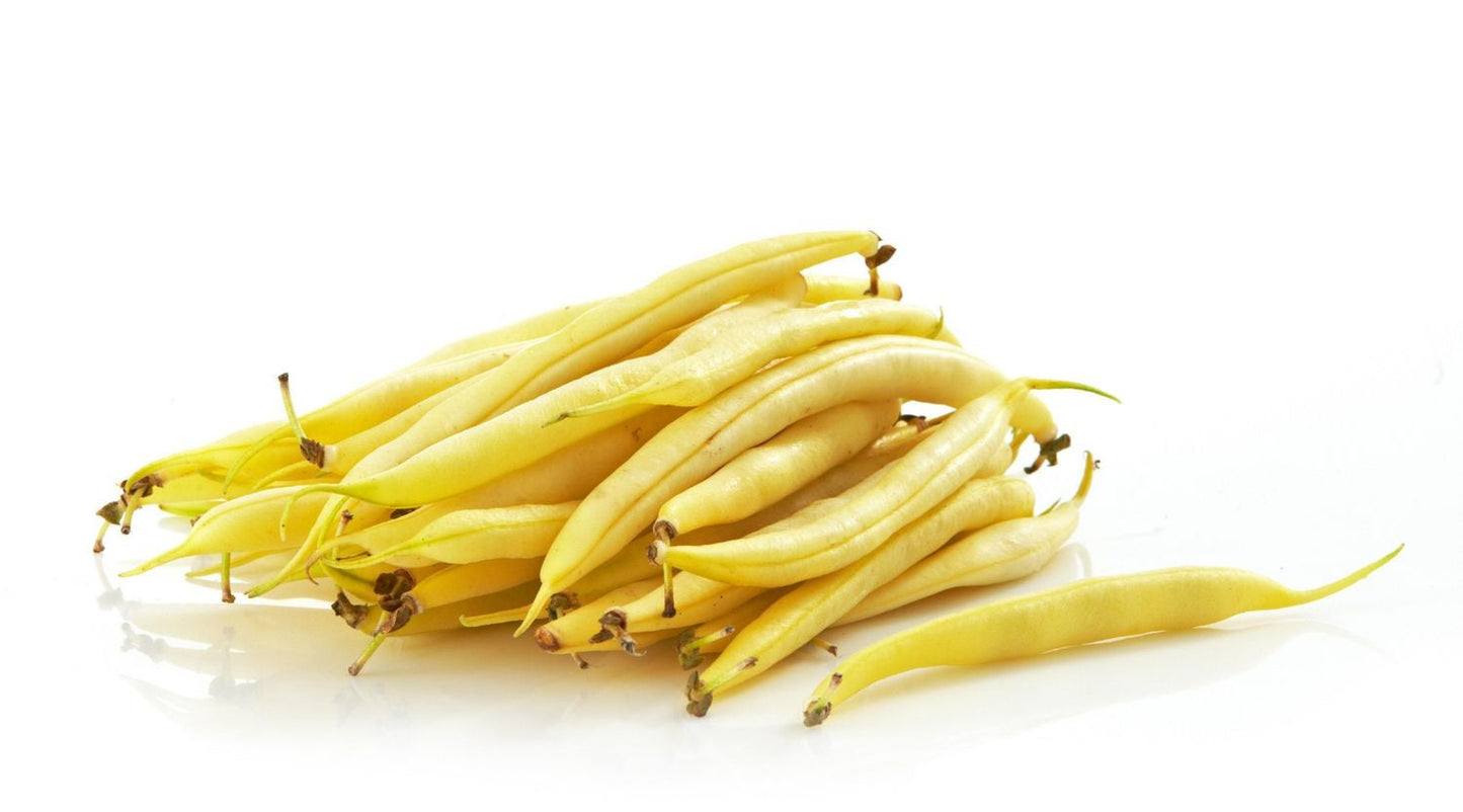 Beans (Yellow) (1lb Bag)