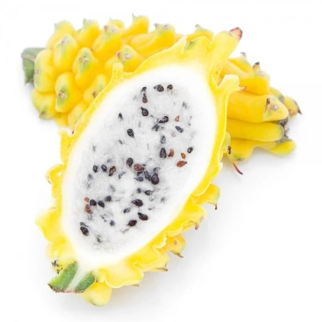 Dragon Fruit (Yellow)