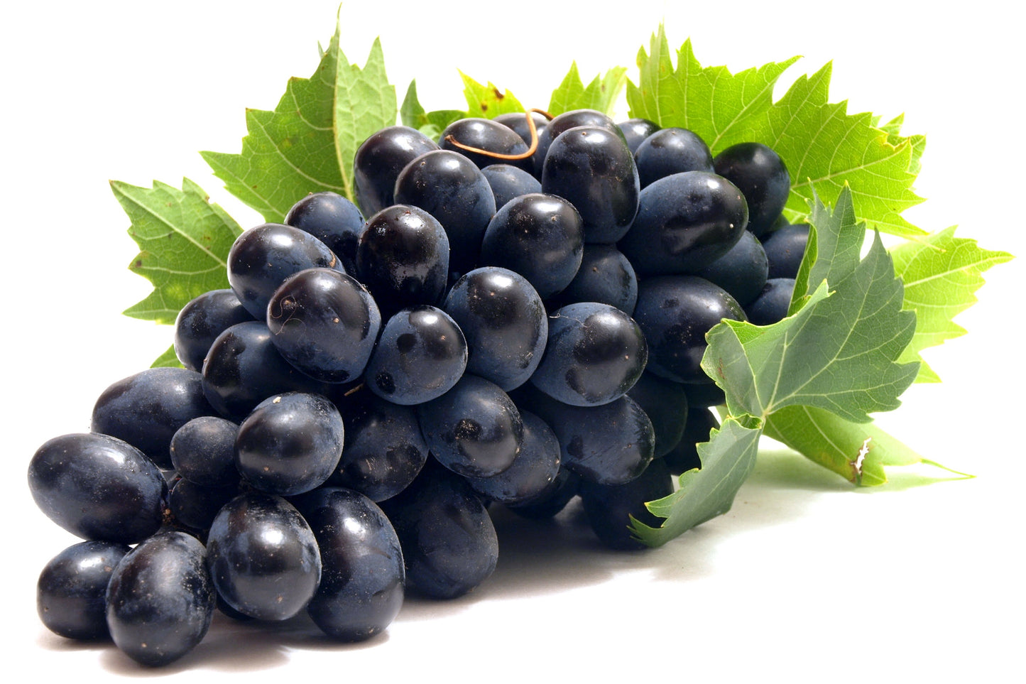 Grapes Black (per pound)