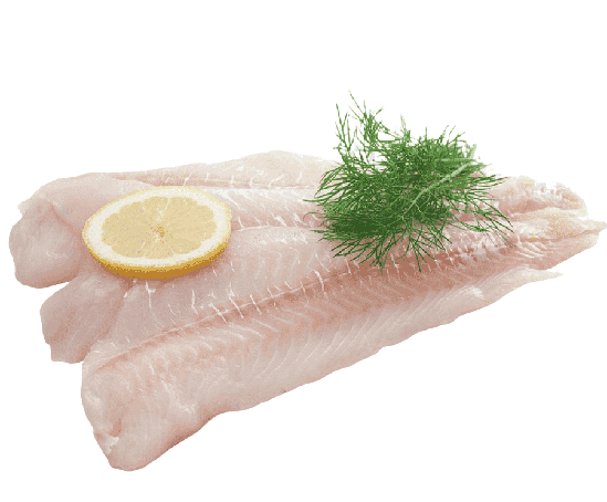 Cod Fish Fillet