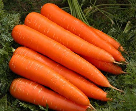 Carrots (5lb Bag)