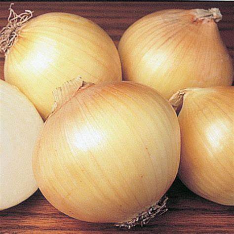 Onion (Spanish) (per pound)